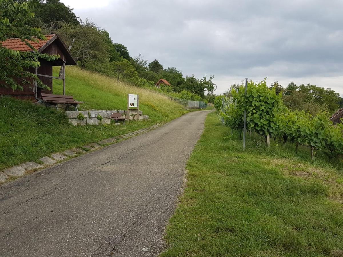 Ferienwohnung Burgblick Im Neuffener Tal Mit Sauna Und Wallbox Frickenhausen  Extérieur photo