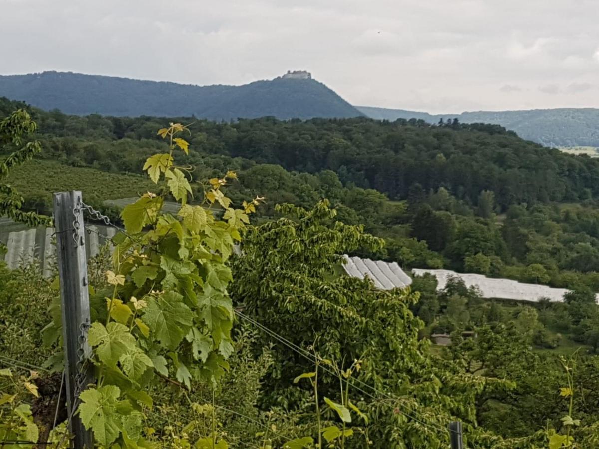 Ferienwohnung Burgblick Im Neuffener Tal Mit Sauna Und Wallbox Frickenhausen  Extérieur photo