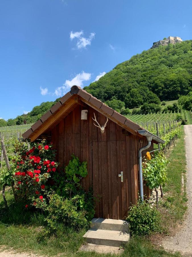 Ferienwohnung Burgblick Im Neuffener Tal Mit Sauna Und Wallbox Frickenhausen  Extérieur photo