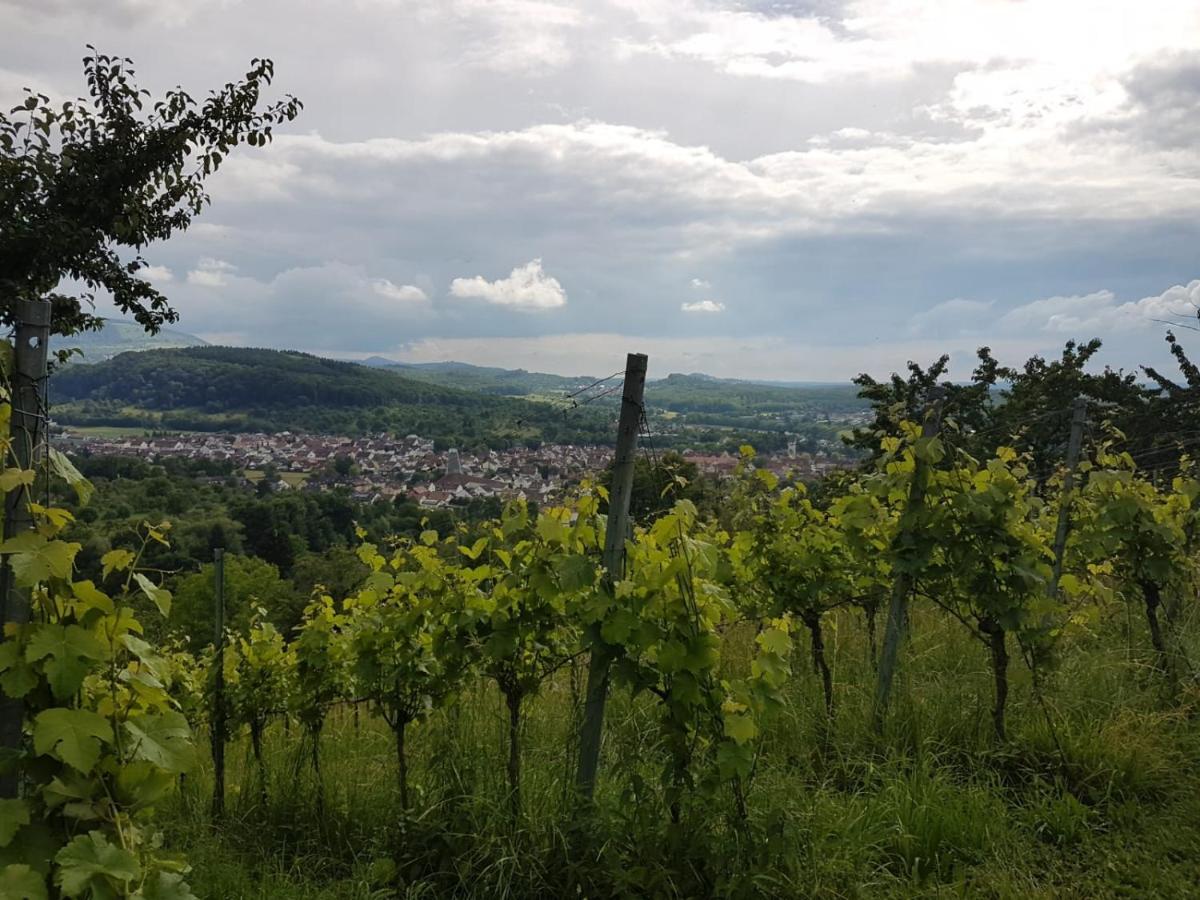 Ferienwohnung Burgblick Im Neuffener Tal Mit Sauna Und Wallbox Frickenhausen  Extérieur photo